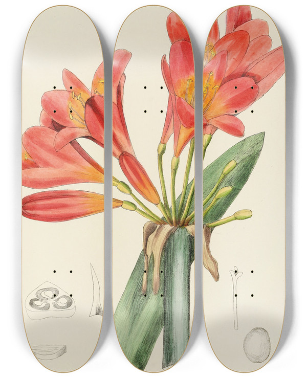 Triptych art skateboard deck of Illtyd Buller Poleevans Clivia Miniata by Illtyd Buller Pole-Evans (1879-1968)