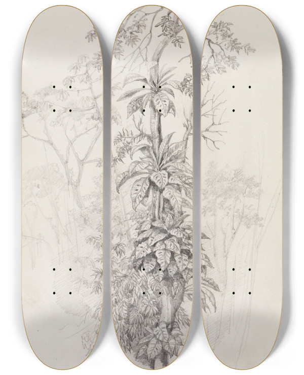 Triptych art skateboard deck of Ferdinand Keller Baumstudie Aus Dem Urwald by Ferdinand Keller (1842-1922)