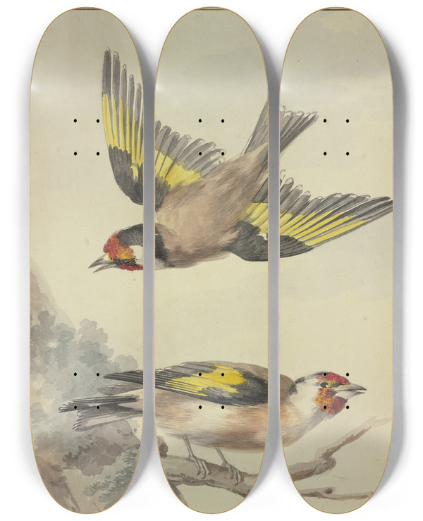 Triptych art skateboard deck of Aert Schouman Two Goldfinches by Aert Schouman (1710-1792)