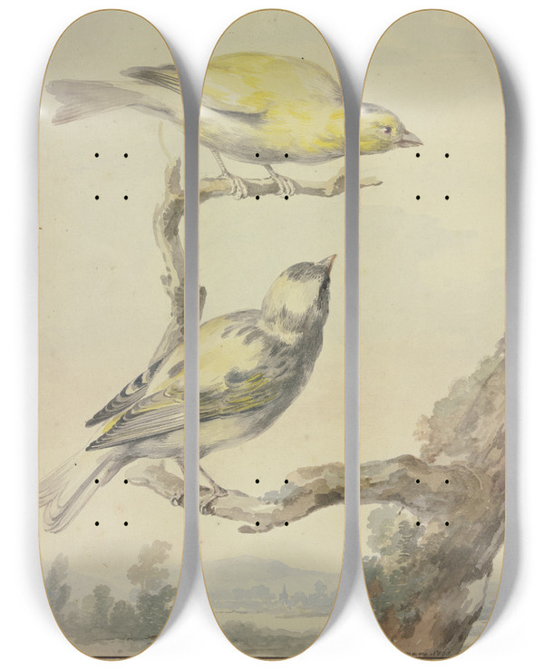 Triptych art skateboard deck of Aert Schouman Two Canaries by Aert Schouman (1710-1792)
