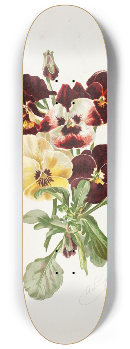Alois Lunzer - Pansies 8.25 inch art skate deck
