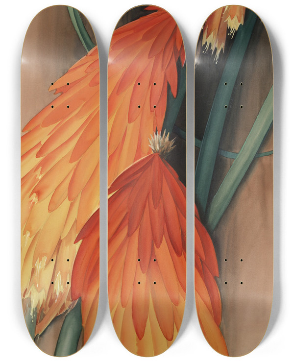 Triptych art skateboard deck of Leon Carroll Skyrocket Red Hotpoker by Leon Carroll (1887-1937)