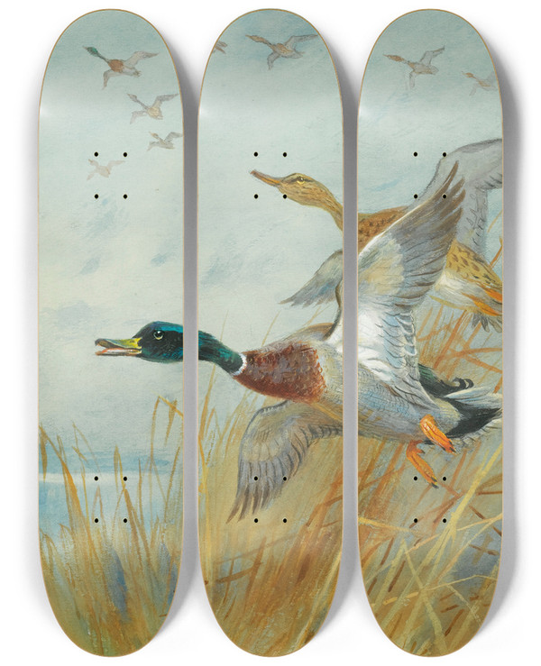 Triptych art skateboard deck of Archibald Thorburn Mallard Rising by Archibald Thorburn (1860-1935)