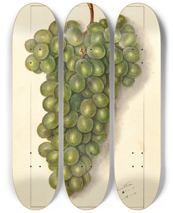 Triptych art skateboard deck of Ellen Isham Schutt Vitis Feher Szagos by Ellen Isham Schutt (1873-1955)