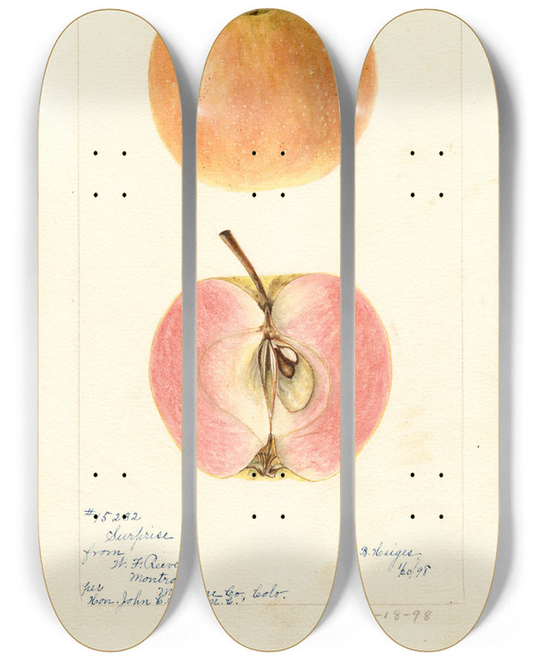 Triptych art skateboard deck of Bertha Heiges Malus Domestica Surprise by Bertha Heiges (1866-1956)