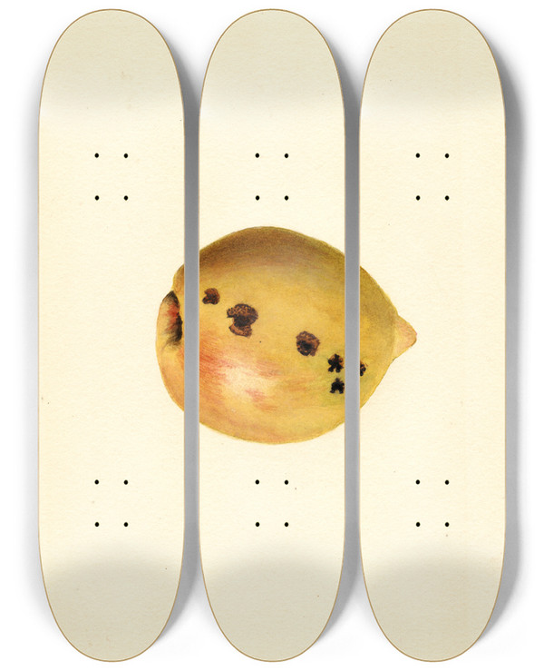 Triptych art skateboard deck of James Marion Shull Prunus Persica_3 by James Marion Shull (1872-1948)