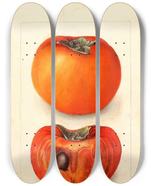 Triptych art skateboard deck of Deborah Griscom Passmore Diospyros Godbeys Seedless by Deborah Griscom Passmore (1840-1911)