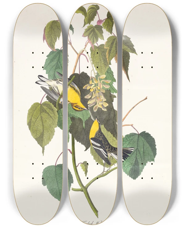 Triptych art skateboard deck of John James Audubon Hemlock Warbler by John James Audubon (1785-1851)