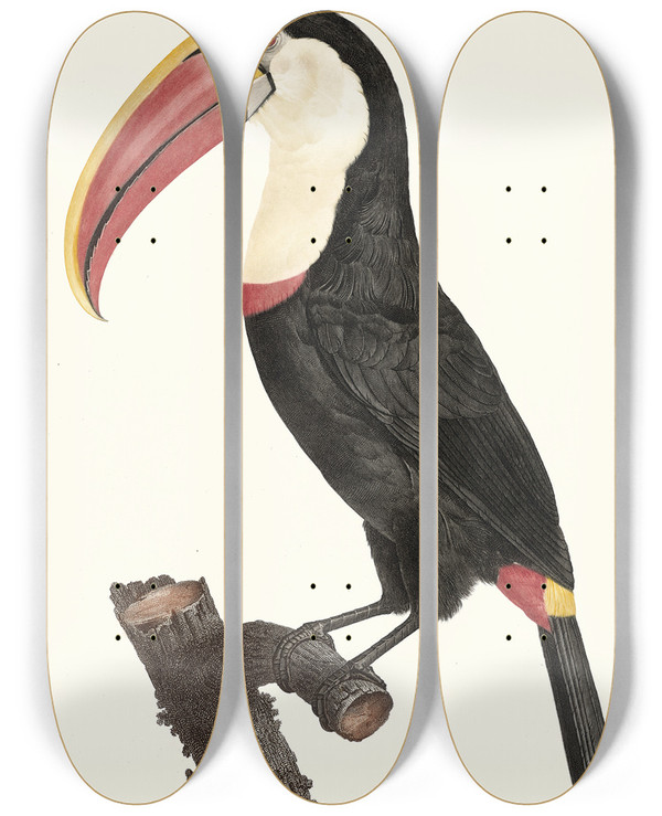 Triptych art skateboard deck of Jacques Barraband Le Tocan by Jacques Barraband (1767-1809)