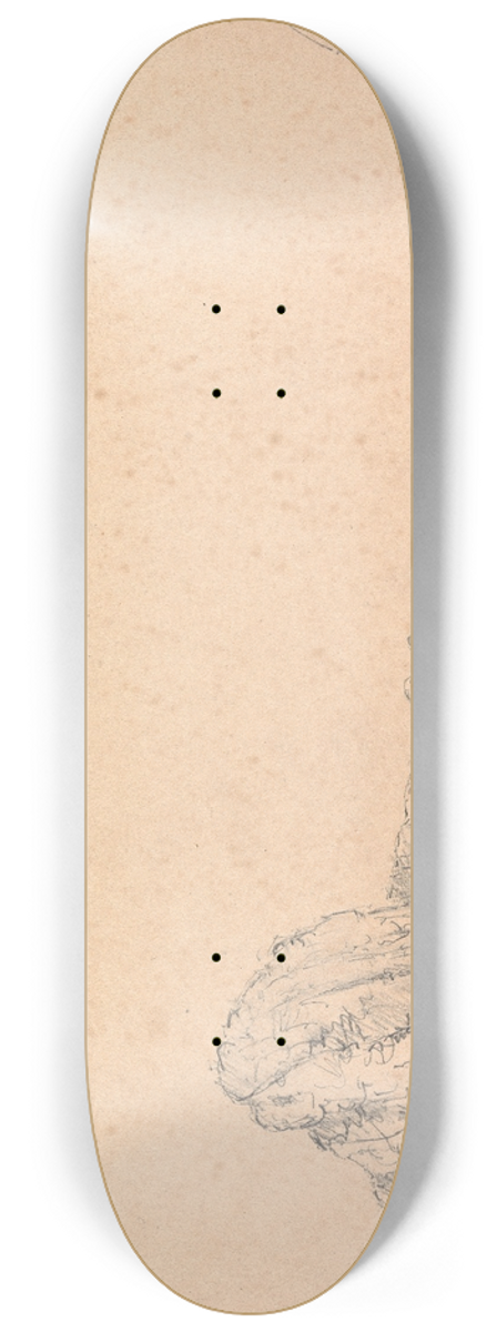 James Moore - Loch Oich 8.25 inch art skate deck