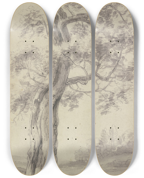 Triptych art skateboard deck of Antonie Waterloo Eichbaum Mit Zerrissener Rinde by Antonie Waterloo (1609-1690)