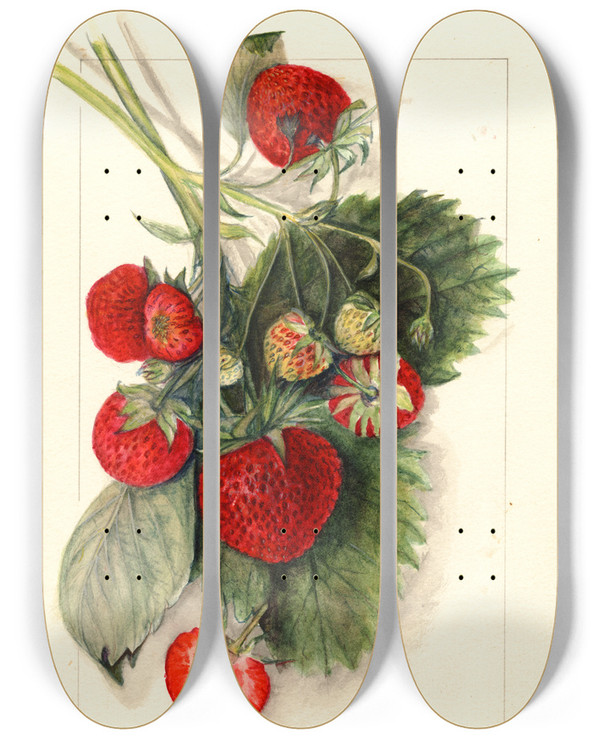 Triptych art skateboard deck of Mary Daisy Arnold Fragaria Nanticoke by Mary Daisy Arnold (1873-1955)