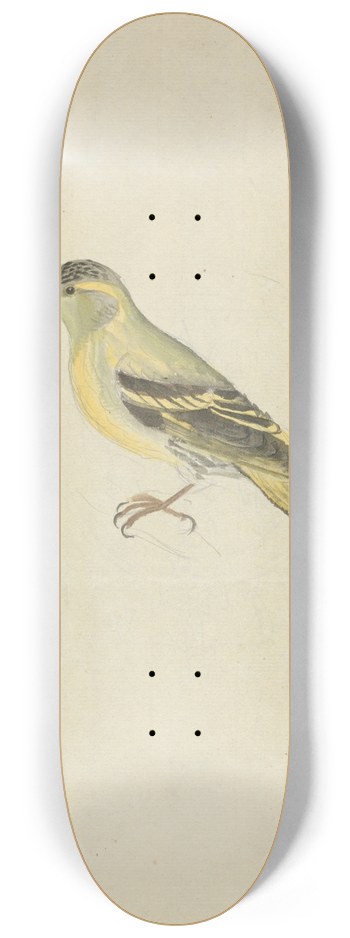 James Sowerby - A Finch 8.25 inch art skate deck