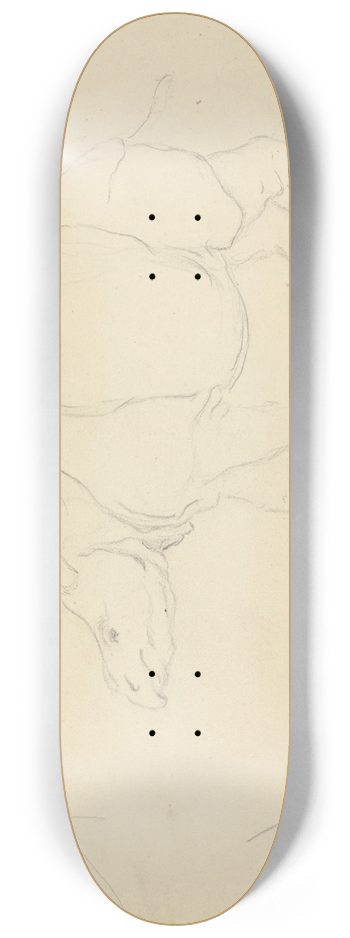 James Sowerby - A Rhinoceros 8.25 inch art skate deck