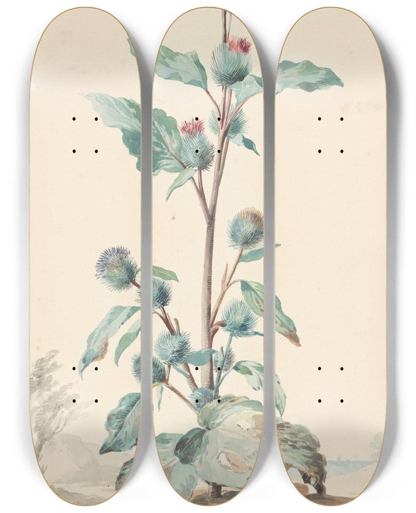 Triptych art skateboard deck of Aert Schouman Distel by Aert Schouman (1710-1792)