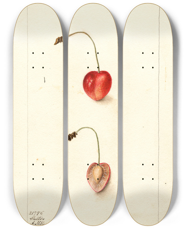 Triptych art skateboard deck of Deborah Griscom Passmore Prunus Avium Shelton by Deborah Griscom Passmore (1840-1911)