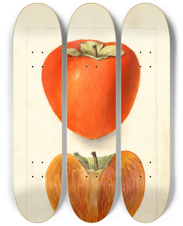 Triptych art skateboard deck of Deborah Griscom Passmore Diospyros Axtill by Deborah Griscom Passmore (1840-1911)