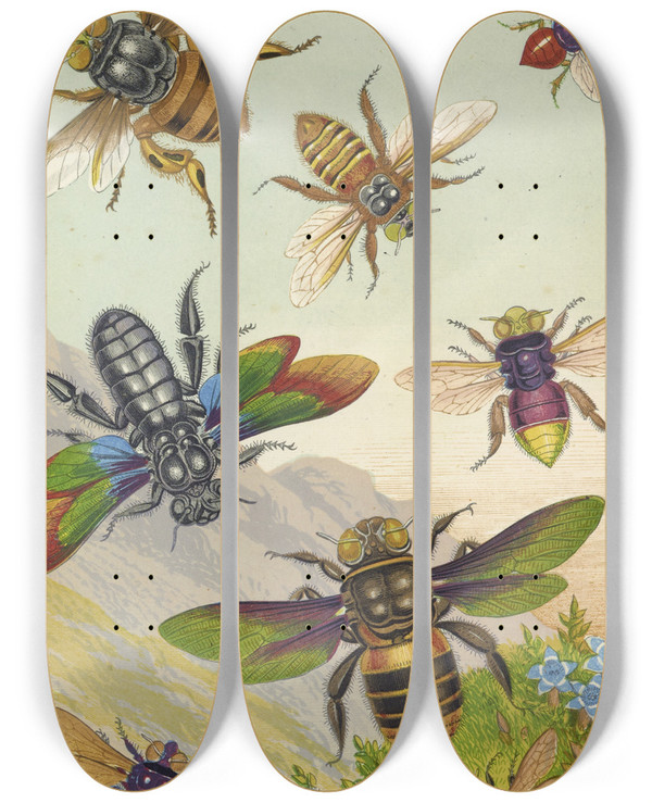 Triptych art skateboard deck of Barret And Sons Beautiful Exotic Bees by Barret And Sons (19-)