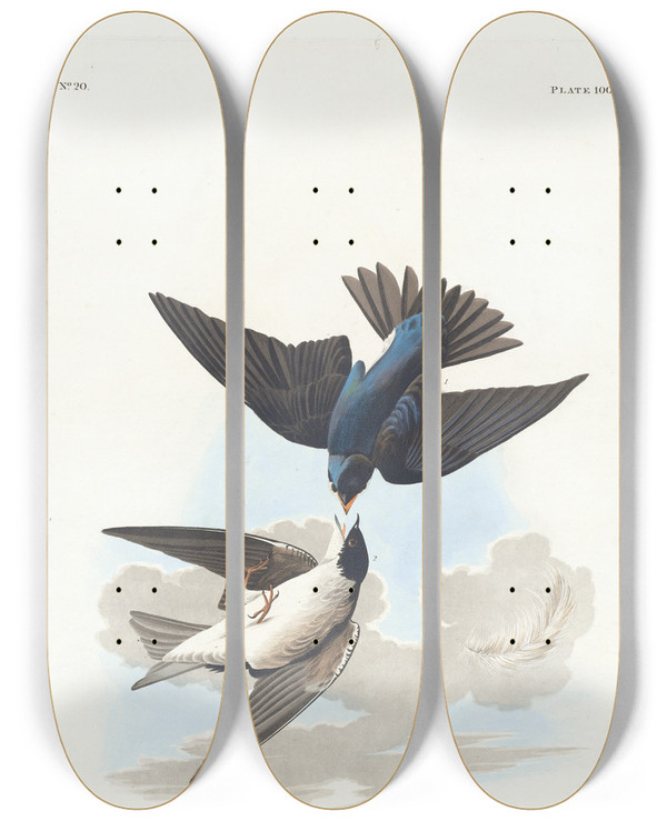 Triptych art skateboard deck of John James Audubon Greenblue Or White Bellied Swallow by John James Audubon (1785-1851)