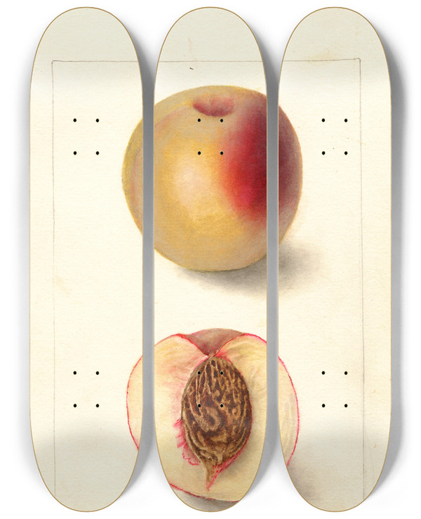 Triptych art skateboard deck of Deborah Griscom Passmore Prunus Persica Klondike by Deborah Griscom Passmore (1840-1911)