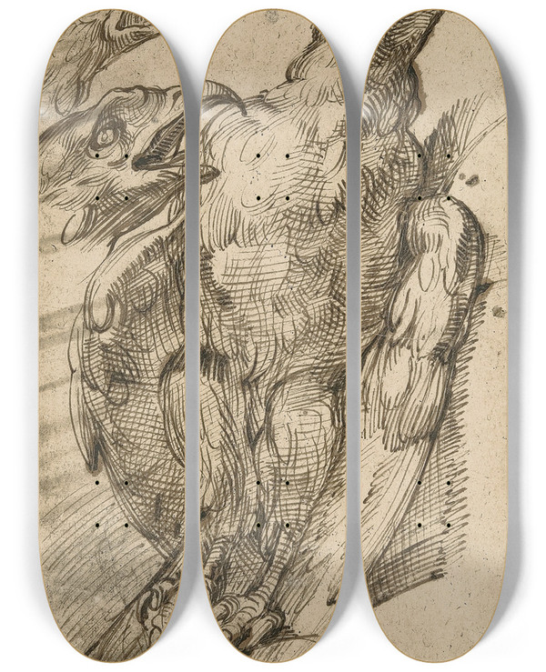 Triptych art skateboard deck of Bartolomeo Passarotti Study Of An Eagle by Bartolomeo Passarotti (1529-1592)