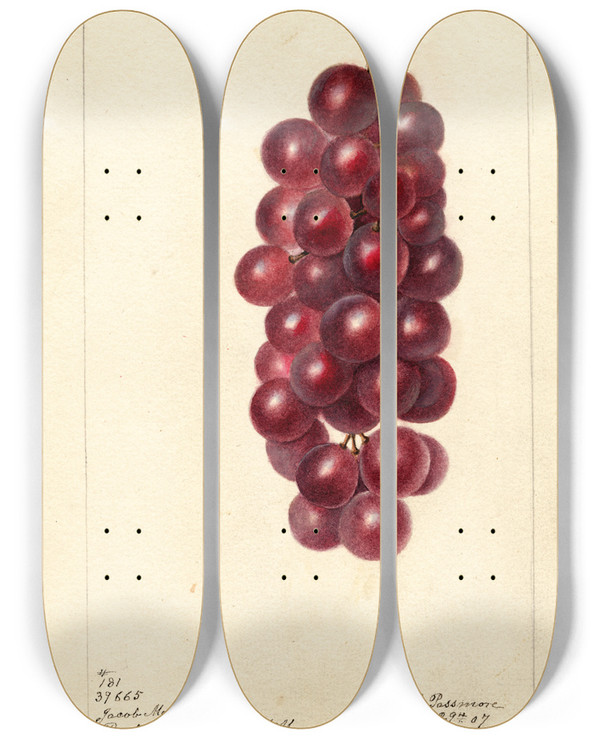 Triptych art skateboard deck of Deborah Griscom Passmore Vitis Jacob Moore by Deborah Griscom Passmore (1840-1911)