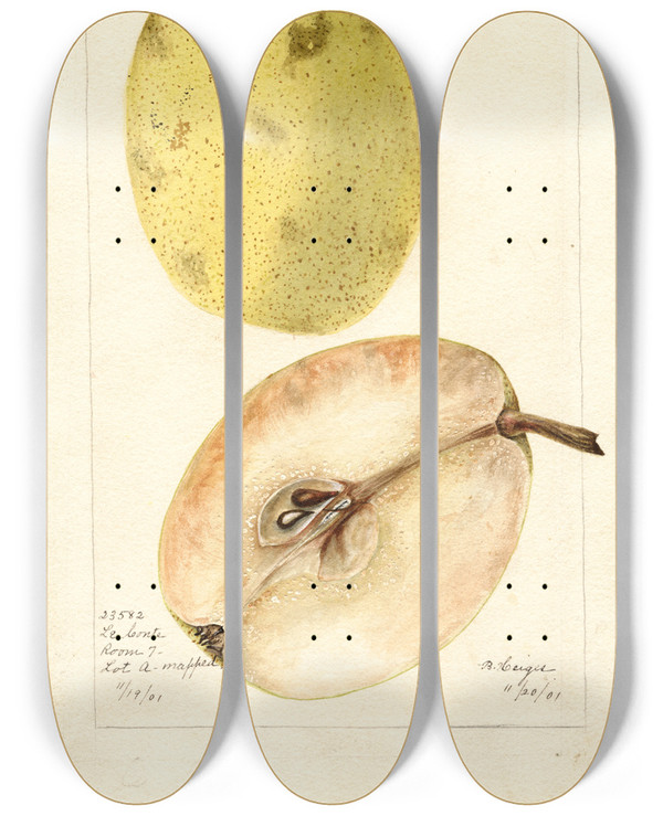 Triptych art skateboard deck of Bertha Heiges Pyrus Communis Le Conte_1 by Bertha Heiges (1866-1956)
