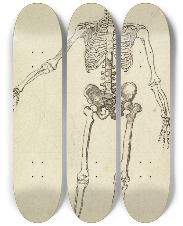 Triptych art skateboard deck of George Augustus Sala Drawing Of A Skeleton by George Augustus Sala (1828-1895)