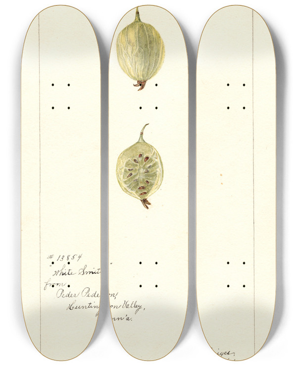 Triptych art skateboard deck of Bertha Heiges Ribes White Smith by Bertha Heiges (1866-1956)