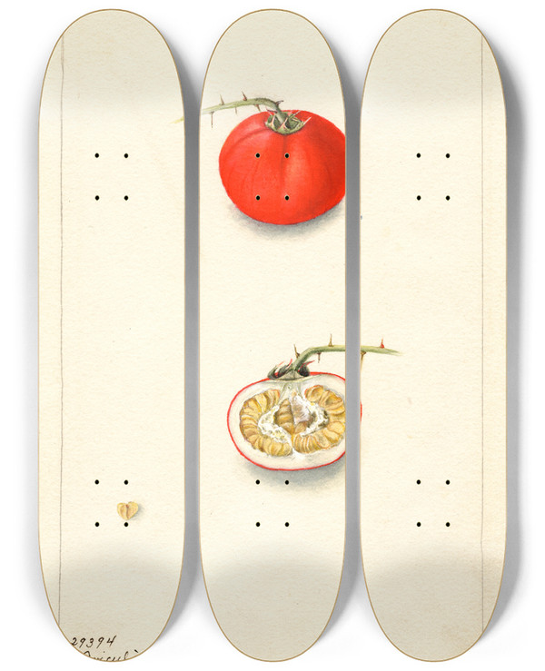 Triptych art skateboard deck of Bertha Heiges Solanum Aviculare by Bertha Heiges (1866-1956)