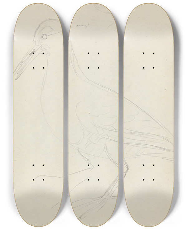 Triptych art skateboard deck of James Sowerby Two Woodcocks by James Sowerby (1757-1822)