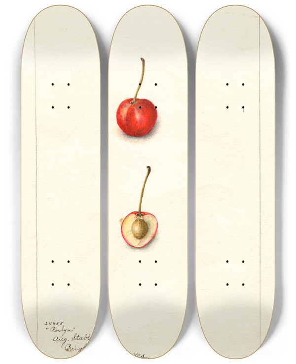 Triptych art skateboard deck of Bertha Heiges Prunus Avium Roslyn by Bertha Heiges (1866-1956)