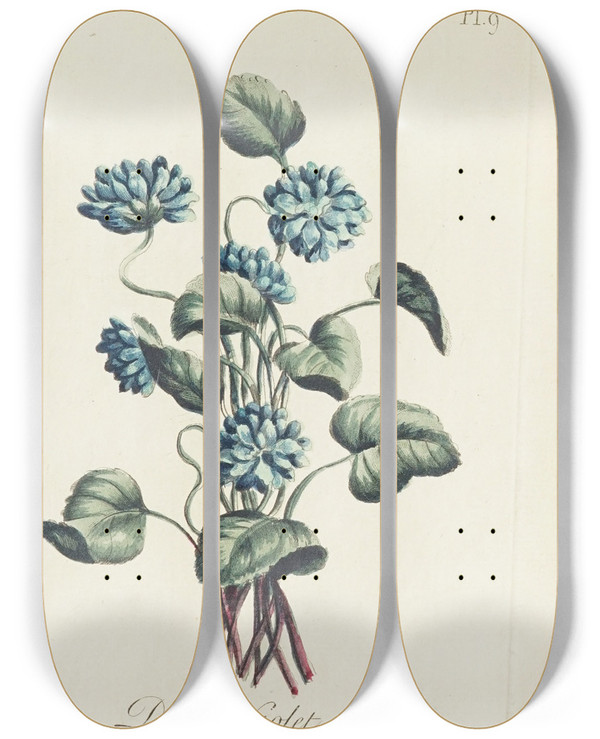 Triptych art skateboard deck of Carington Bowles Double Violet by Carington Bowles (1724-1793)