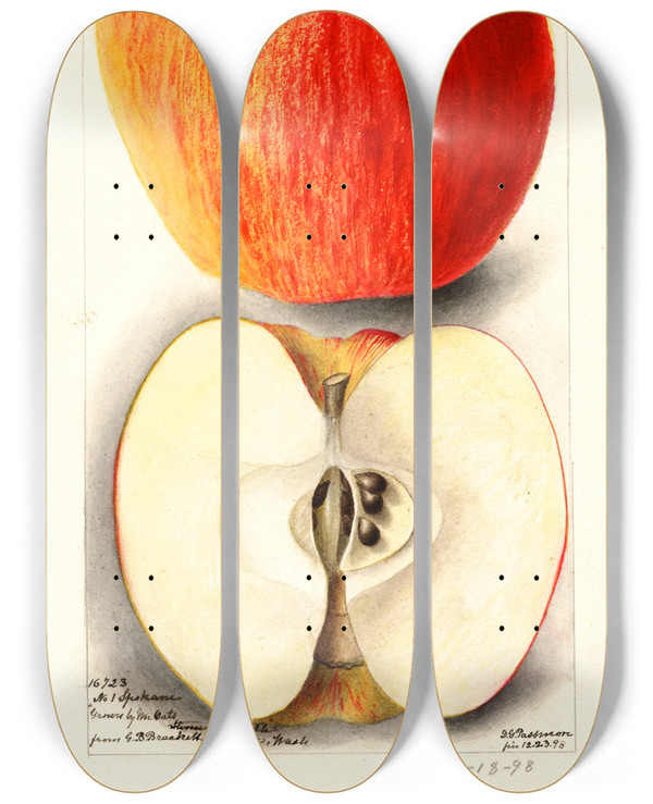 Triptych art skateboard deck of Deborah Griscom Passmore Malus Domestica Spokane by Deborah Griscom Passmore (1840-1911)