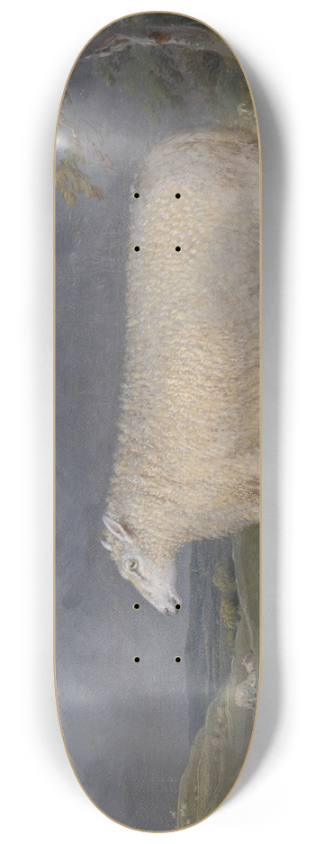 James Ward - A Border Leicester Ewe 8.25 inch art skate deck
