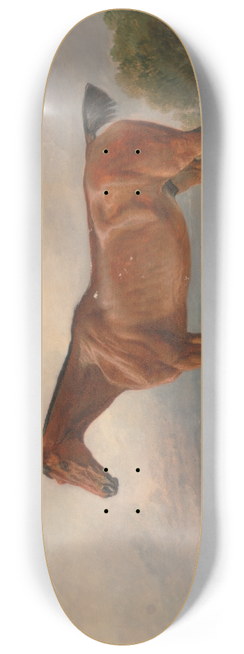 James Ward - A Hunter in a Landscape 8.25 inch art skate deck