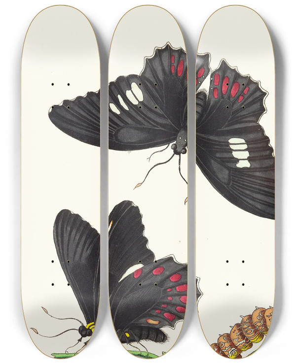 Triptych art skateboard deck of George Shaw Anchises by George Shaw (1751-1813)