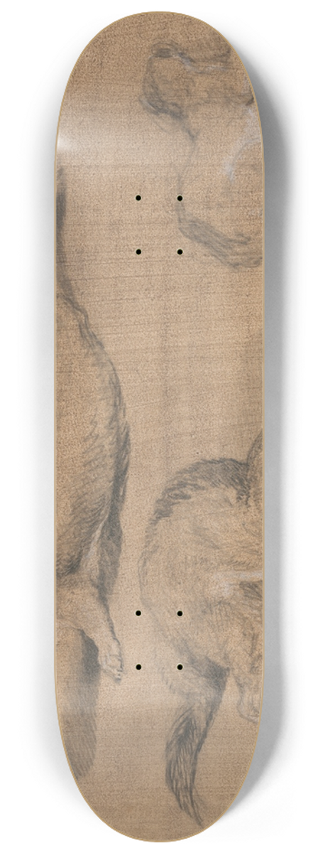 James Ward - Ferrets 8.25 inch art skate deck