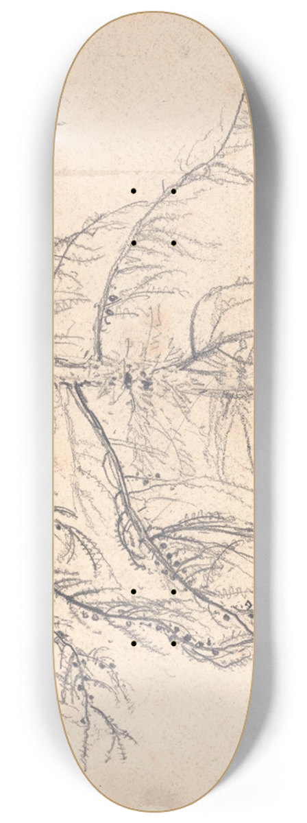 James Ward - Larch Tree 8.25 inch art skate deck