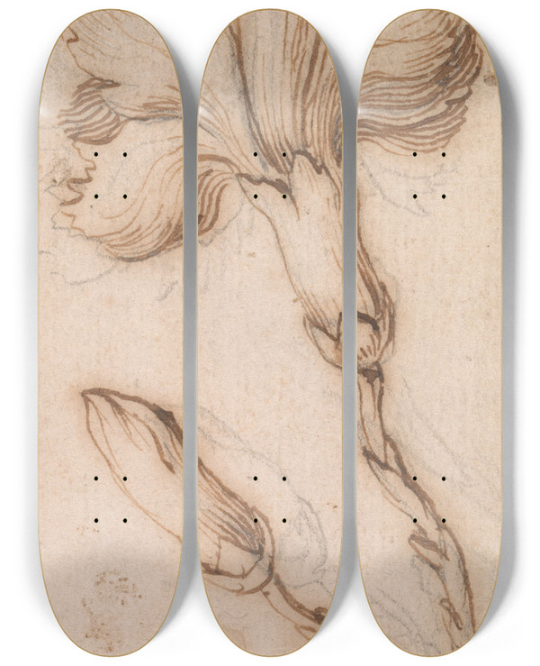 Triptych art skateboard deck of Stefano Della Bella A Study Of Pinks And Roses 3 by Stefano Della Bella (1610-1664)
