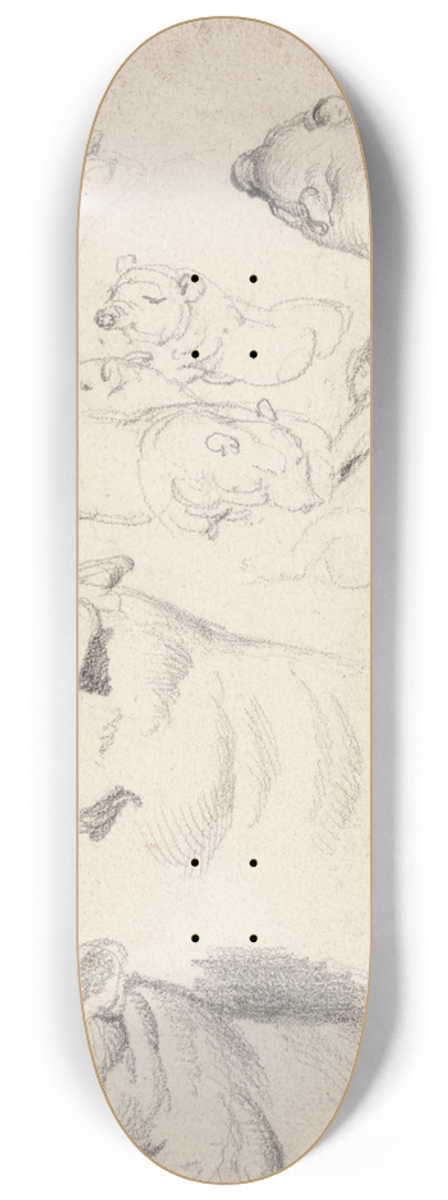 James Ward - Studies of Pigs 8.25 inch art skate deck