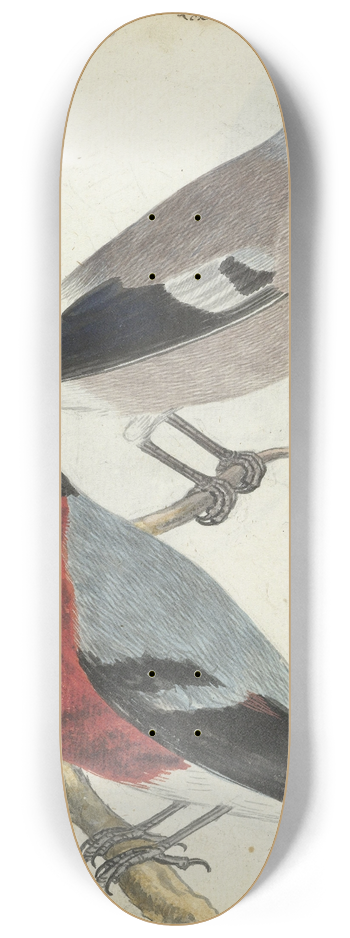 Jan Brandes - Vinken 8.25 inch art skate deck