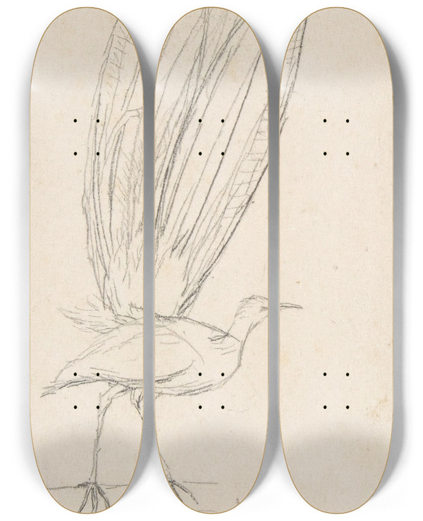 Triptych art skateboard deck of Charles Meryon A Lyre Bird by Charles Meryon (1821-1868)