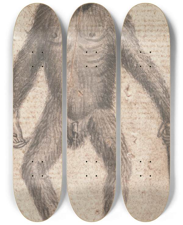 Triptych art skateboard deck of Richard Brookes Monkey_1 by Richard Brookes (1721-1763)