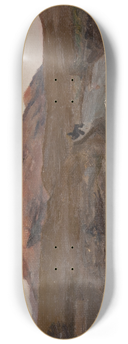 Jan Cigliski - Sudak 2 8.25 inch art skate deck