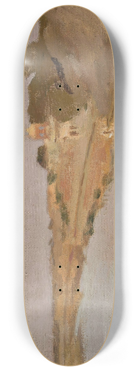 Jan Cigliski - Water landscape. From the journey to India 8.25 inch art skate deck