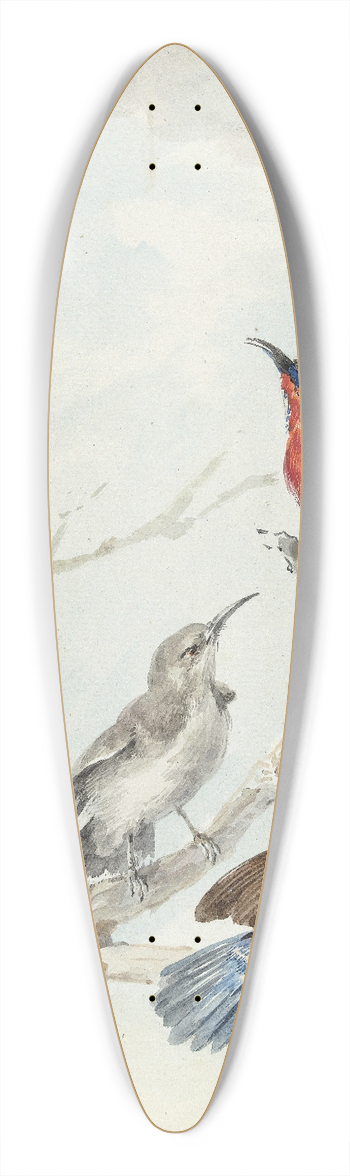 Aert Schouman - Three Crimson Sunbirds 39.3 inch art pintail longboard deck