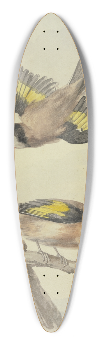 Aert Schouman - Two goldfinches 39.3 inch art pintail longboard deck