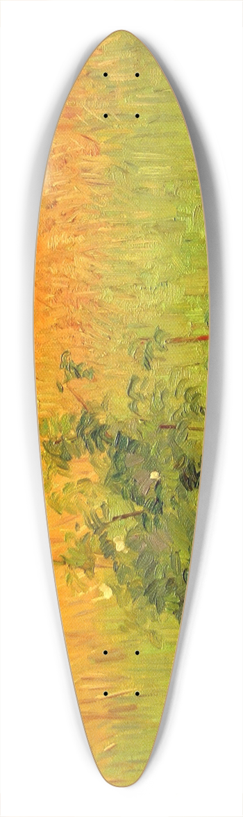 Agnes Slott-Mller - Fields 39.3 inch art pintail longboard deck