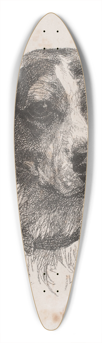 Alexander Blom - Et hundehoved 39.3 inch art pintail longboard deck